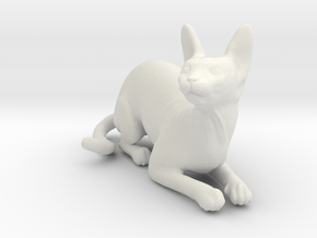 Laying Blue Sphynx in White Natural Versatile Plastic