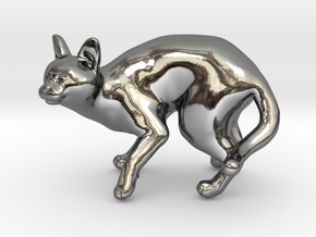 Fearing Gray Chartreux in Fine Detail Polished Silver