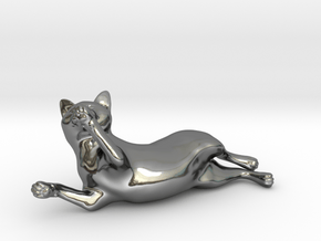 Playing Gray Chartreux in Fine Detail Polished Silver