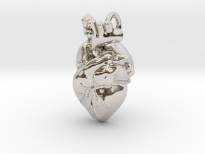 Anatomical Heart Pendant in Rhodium Plated Brass