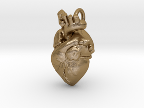Anatomical Heart Pendant in Polished Gold Steel