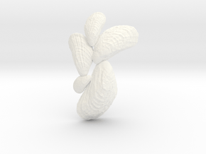 Small Mussel Cluster Pendant in White Processed Versatile Plastic
