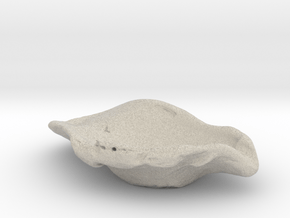 Oyster Jewelry Dish in Natural Sandstone