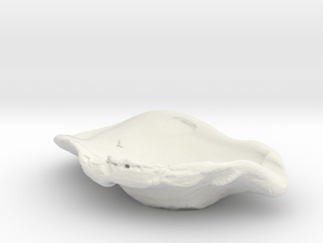 Large Oyster Jewelry Dish in White Natural Versatile Plastic