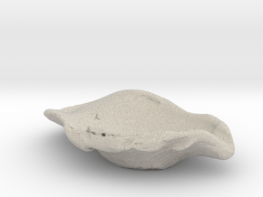 Large Oyster Jewelry Dish in Natural Sandstone