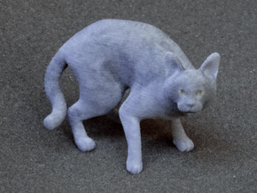 Fearing Gray Chartreux in Full Color Sandstone
