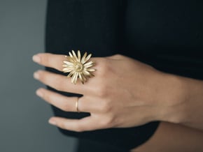 Daisy Ring in Polished Brass: 6 / 51.5