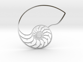Nautilus in Polished Silver