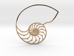 Nautilus in Polished Brass