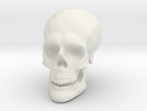 Solid Skull  in White Natural Versatile Plastic