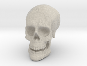 Solid Skull  in Natural Sandstone