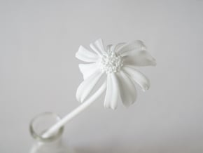 Picked Daisy 3 in White Natural Versatile Plastic