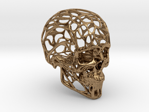 Human Skull - Wireframe design in Natural Brass