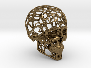 Human Skull - Wireframe design in Natural Bronze