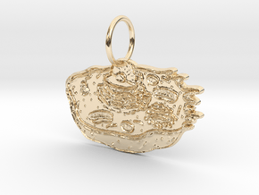 Animal Cell Pendant in 14k Gold Plated Brass