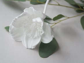 Poppy No. 4 in White Natural Versatile Plastic