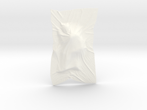 Shroud shape penholder 006 in White Processed Versatile Plastic
