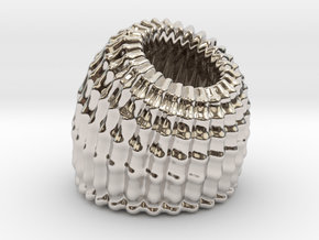 Brain Coral Jewellery Container in Rhodium Plated Brass