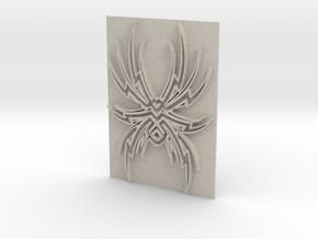 Spider1 in Natural Sandstone