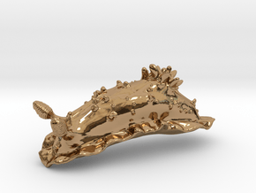 Dorisoni the Nudibranch in Polished Brass