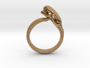 ChestBurster Ring Beta in Polished Brass