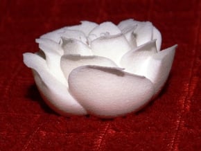 Rose Motif Small in White Processed Versatile Plastic