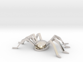  Spider Souvenir in Rhodium Plated Brass