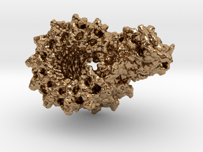 ATP Synthase F0 in Polished Brass