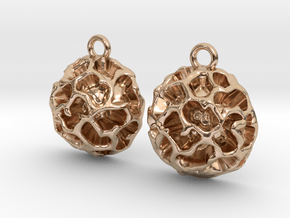 Fossil Acritarch Cymatiosphaera Earrings in 14k Rose Gold