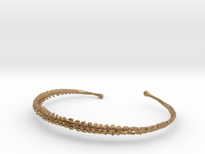 Dino Tail Bracelet  in Polished Brass