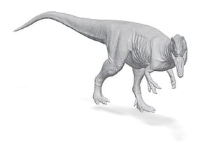 Digital-Dinosaur Carcharodontosaurus 1:40 V2  in Carcharodontosauruspose21a40
