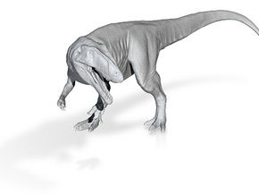 Digital-Dinosaur  Carcharodontosaurus 1:40 V1 in Carcharodontosauruspose1a35