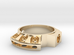 10th Dr Vm in 14k Gold Plated Brass