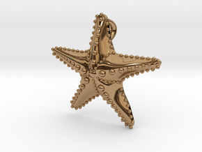 Starfish in Polished Brass