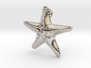  Starfish in Platinum