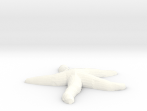 Starfish  in White Processed Versatile Plastic