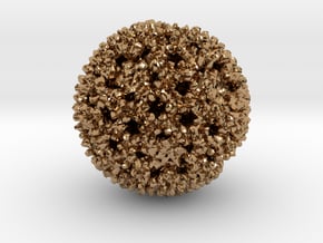 Reovirus in Polished Brass