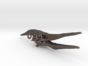 Pteranodon Skull for Steel in Polished Bronzed Silver Steel