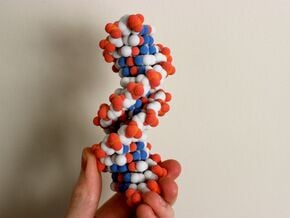 DNA molecule large in Full Color Sandstone