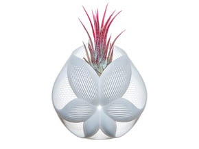Bulbophyllum Simplex Planter in White Natural Versatile Plastic