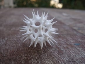Acrosphaera (Radiolaria) in White Natural Versatile Plastic