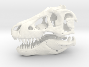 T-rex in White Processed Versatile Plastic
