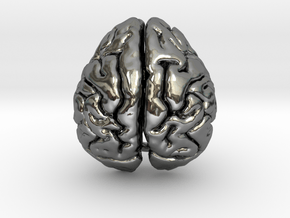 Orangutan Brain in Fine Detail Polished Silver