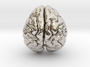 Orangutan Brain in Platinum