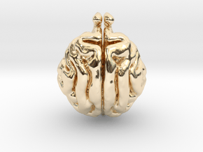 Cat Brain in 14k Gold Plated Brass