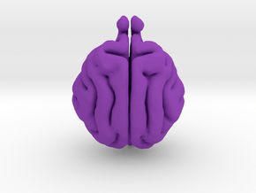 Cat Brain in Purple Processed Versatile Plastic