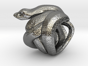 Snake No.2 in Fine Detail Polished Silver