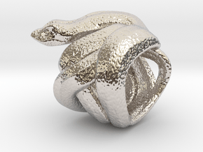 Snake No.2 in Rhodium Plated Brass