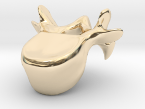 Human Cervical Vertebra in 14k Gold Plated Brass