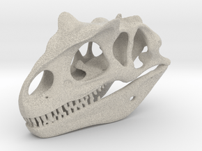 Allosaurus Skull in Natural Sandstone
